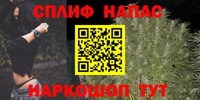 прущие грибы Кулебаки