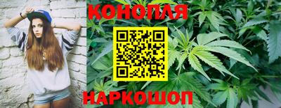 прущие грибы Кулебаки