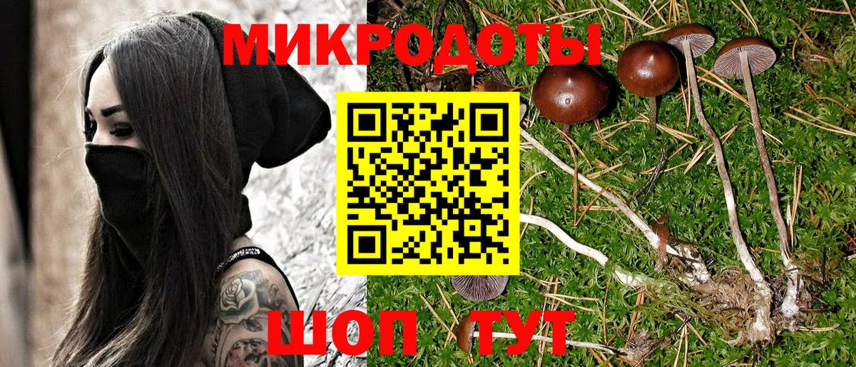 Псилоцибиновые грибы Psilocybine cubensis  Вход с VPN  купить наркоту  Карачаевск 