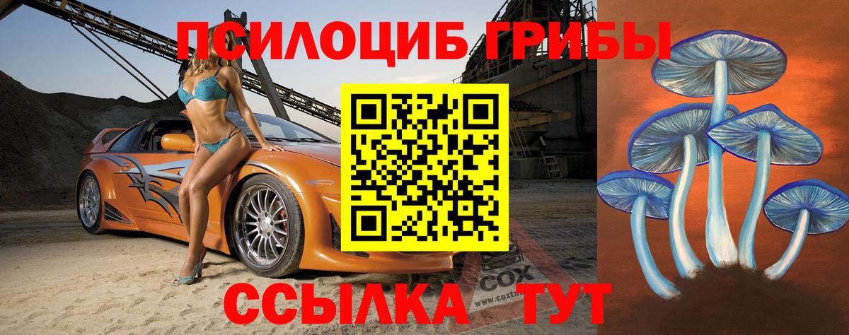 Галлюциногенные грибы GOLDEN TEACHER Карачаевск